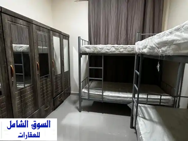 سكن شباب فاخر في عجمان - الجرف 3، خلف السوق الصيني!...
