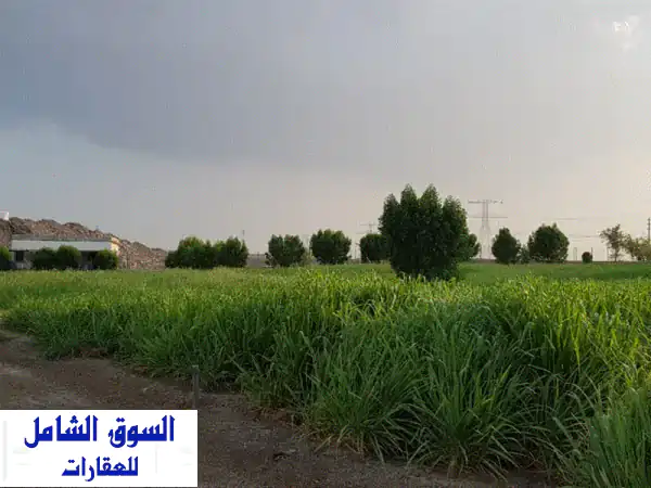 مزرعة للبيع في رأس الخيمة: شوكة | طبيعة خلابة،...