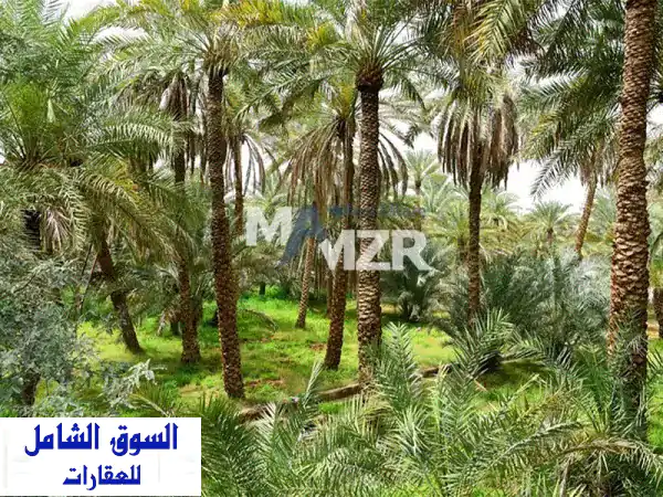 فرصة ذهبية: مزرعة استثمارية للبيع برماح، العين |...