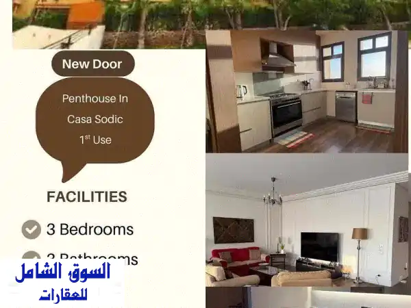 Apartment 257 Sqm For Rent in Casa Sodic Beverly Hills