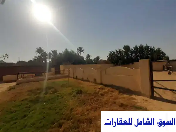 افضل موقع بسقارة مزرعة خيل باستراحة و ملعب...