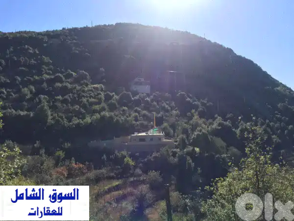 فيلا مستقلة ساحرة للبيع في زابوغا - 2 غرف نوم، 282م²...