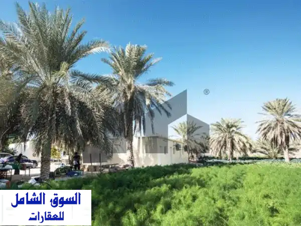 مزرعة أحلامك في رماح العين: استثمار زراعي ذهبي بـ...