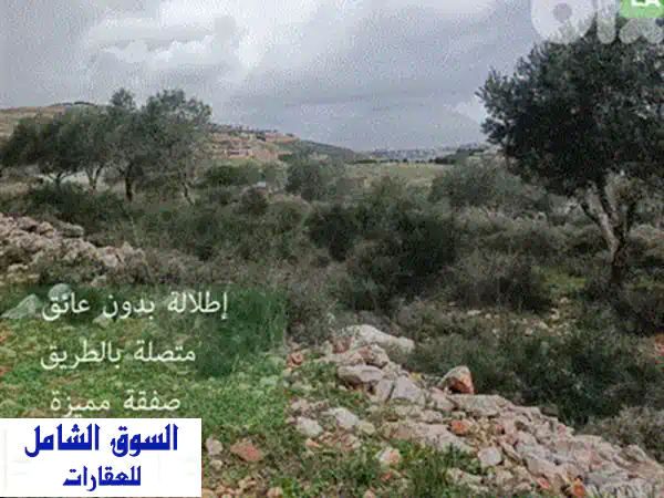 لقطة الألفية الثالثة: أرض استثمارية ضخمة للبيع في النبطية الزهراني - 8900م² على الطريق العام 130م!