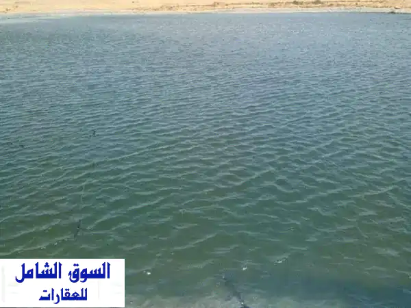 فرصة استثمارية ذهبية: مزرعة 100 فدان على طريق مصر اسكندرية الصحراوي – واجهة 600م!