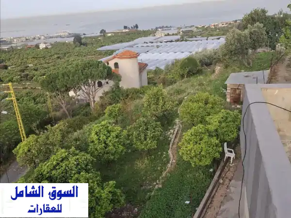 استثمر حلمك: أرض مميزة 1400م مع بيت قديم مطل على البحر...