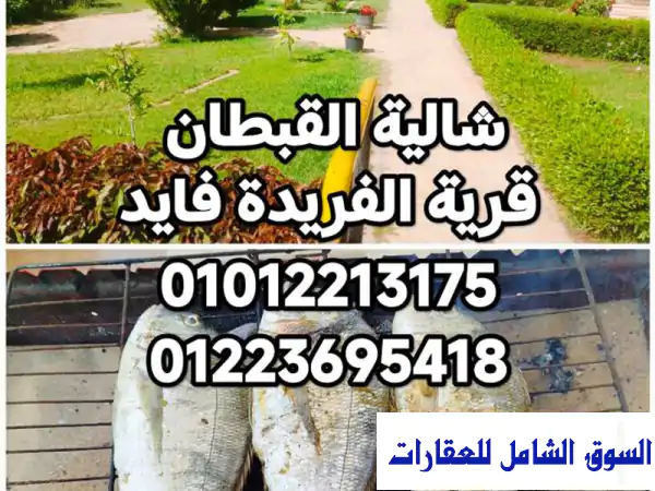 شاليهات قرية الفريدة فايد للتصييف للإيجار...