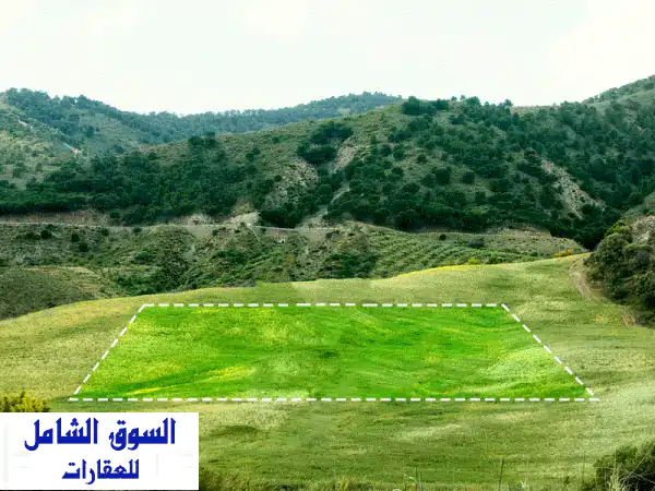Land for sale in Baabdat ارض للبيع في بعبدات  Lands for Sale  116705750