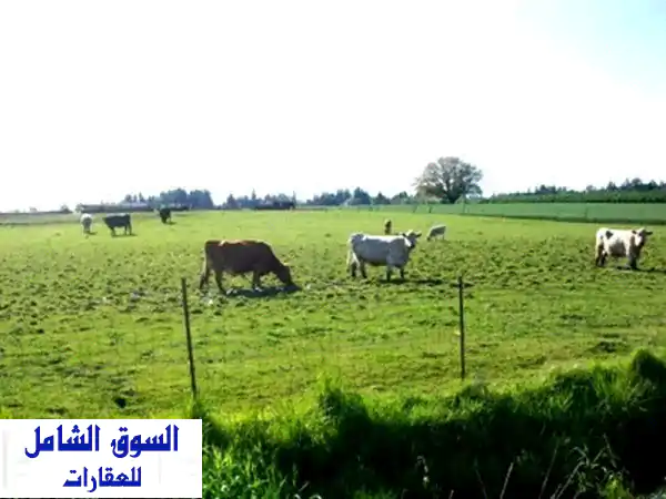 فرصة استثمارية ذهبية: 29 فدان عقد أزرق ملك في...
