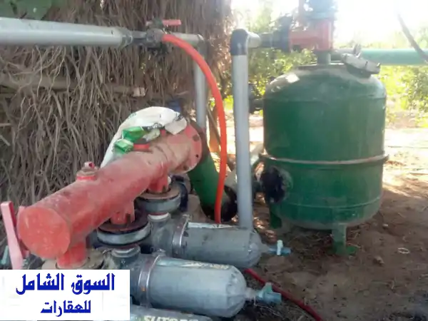 فرصة استثمارية ذهبية: مزرعة يوسفندي ملك 20 فدان جاهزة للعمل بفيلا وسكن عمال - النوبارية، الكيلو 70 طريق الإسكندرية الصحراوي