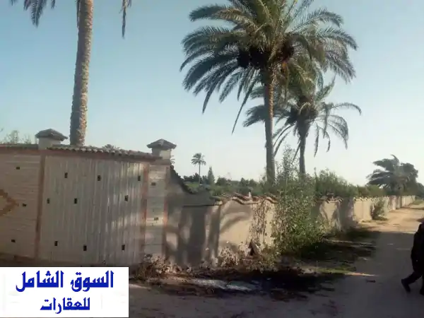 فرصة استثمارية ذهبية: مزرعة يوسفندي ملك 20 فدان...