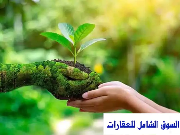 للبيع مزرعة 5 فدان مسجلة شهر عقاري خالص الثمن...