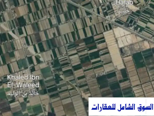 فرصة العمر: مزرعة منتجة 11 فدان بري بحاري على...