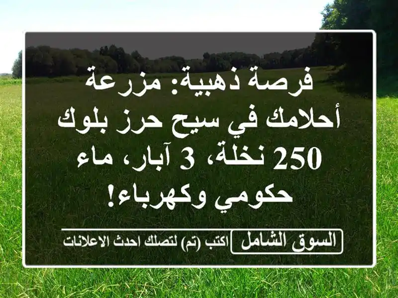فرصة ذهبية: مزرعة أحلامك في سيح حرز بلوك - 250 نخلة،...