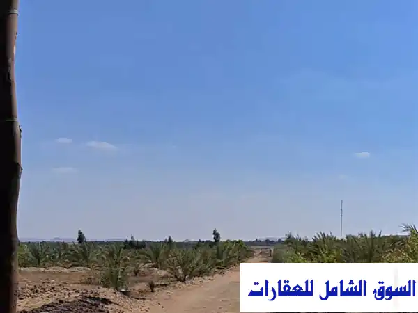 21 فدان مزروعة نخيل منتج بقرية منديشة الواحات البحرية  تمويل عقاري للبيع في الجيزة