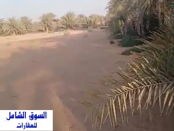 فرصة استثمارية ذهبية: مزرعة 33500م2 في ناهل، العين |...
