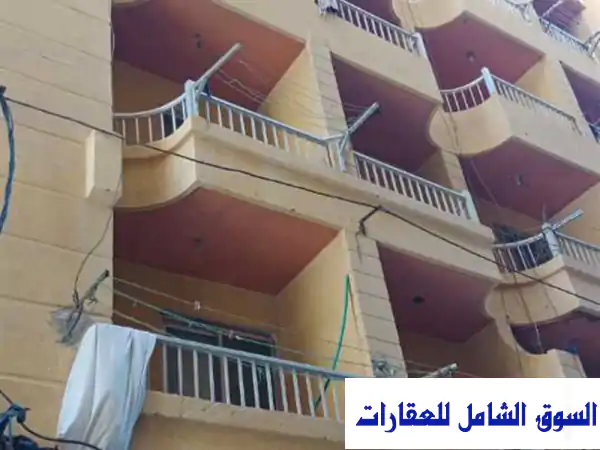 شقة مصيفية للإيجار اليومي بفاميلي بيتش...