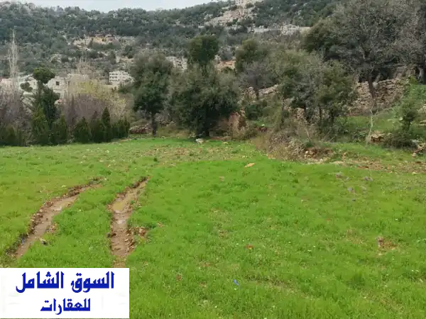 أرض مع بيت قديم للبيع أهمج منطقة جبيل مساحة الأرض...