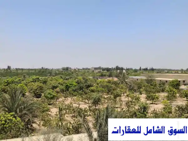 فرصة استثمارية: مزرعة 4 فدان للإيجار على...