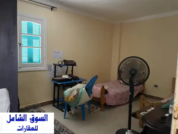 شقة للايجار بالمساعيد بالعريش للطالبات بجامعة...