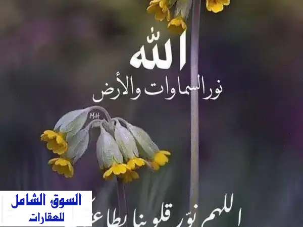 مخزن للإيجار بمبارك الكبير: سرداب 350م مميز | مدخل...