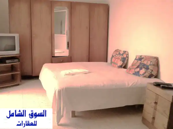 شقة مفروش في سكرة تونس