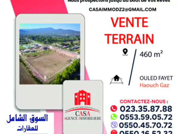 Vente Terrain Alger Ouled fayet