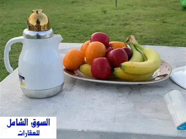 استراحة للاستثمار