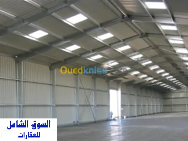 Location Hangar Oran El Kerma