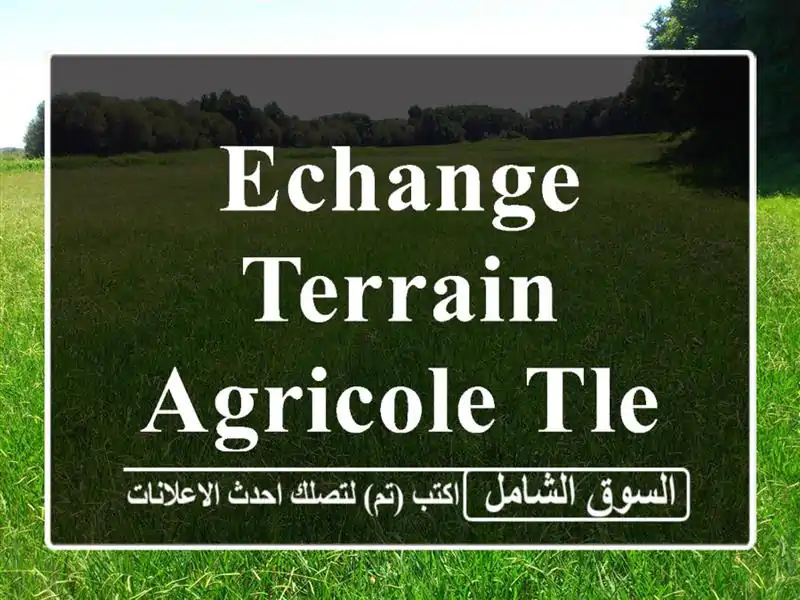 Echange Terrain Agricole Tlemcen Maghnia