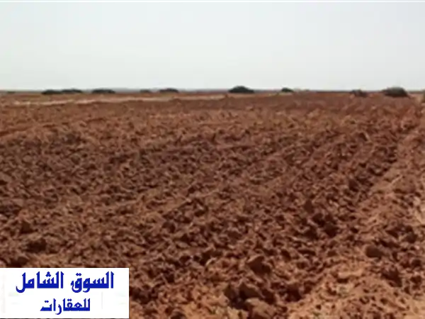 Vente Terrain Agricole Djelfa Ain oussara