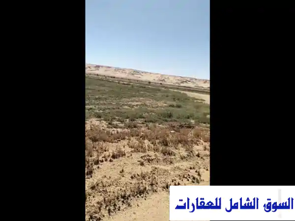 130 فدان في الواحات البحرية مزروعة تقسيط للبيع الجيزة