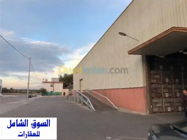 Location Hangar Alger Reghaia