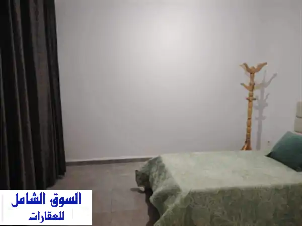 Location Appartement F4 Alger Birkhadem