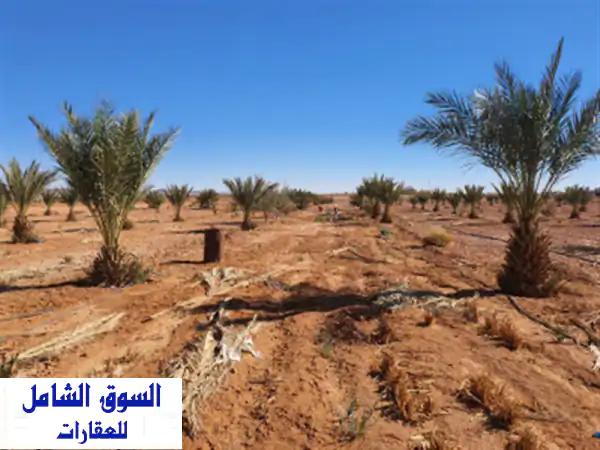 Vente Terrain Agricole Béchar Bechar