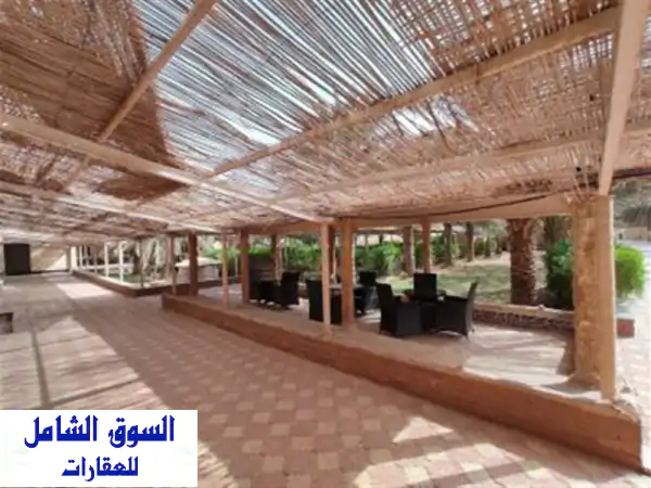 Vente bien immobilier Adrar Adrar