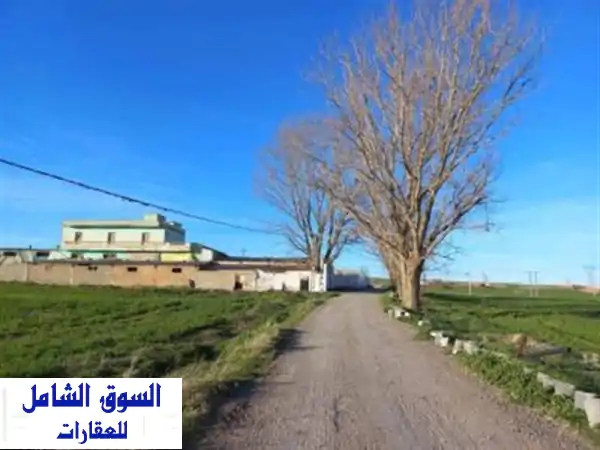 Vente Terrain Agricole Sétif Setif