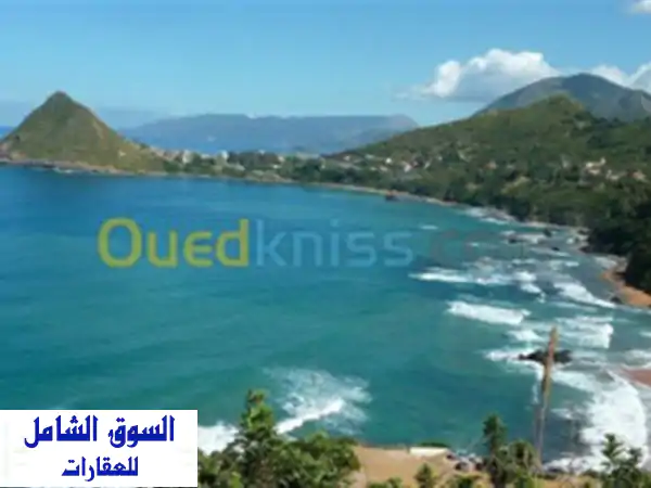 Vente Terrain Jijel El aouana