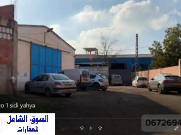 Vente Hangar Blida Ouled el alleug