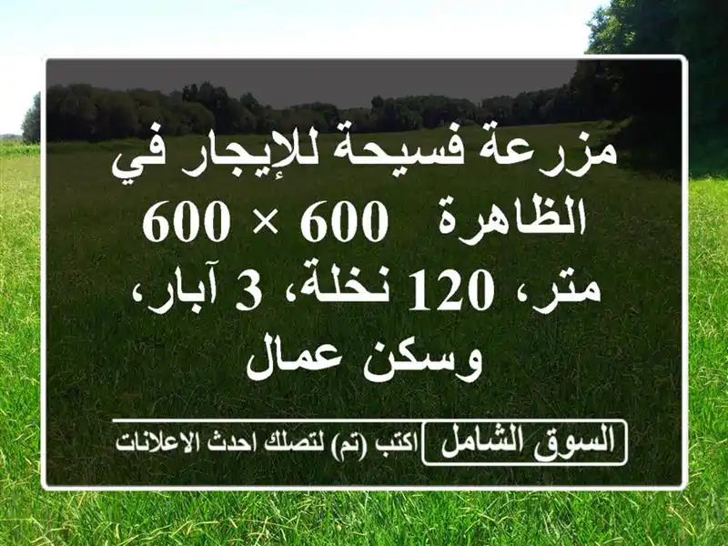 مزرعة فسيحة للإيجار في الظاهرة - 600 × 600 متر، 120 نخلة،...