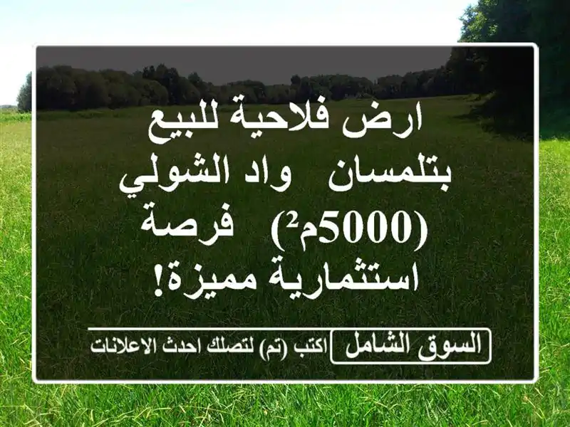 ارض فلاحية للبيع بتلمسان - واد الشولي (5000م²) -...