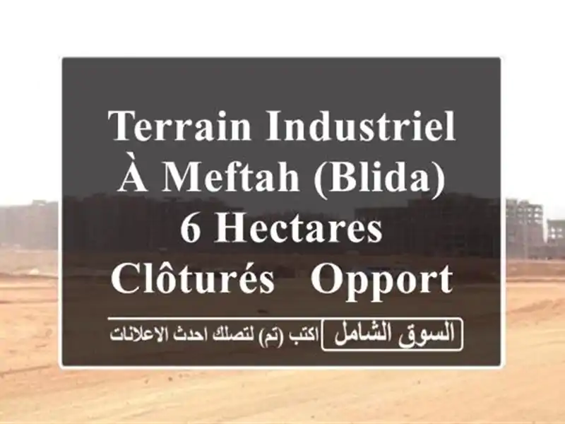 Terrain Industriel à Meftah (Blida) - 6 Hectares Clôturés - Opportunité d'Investissement!