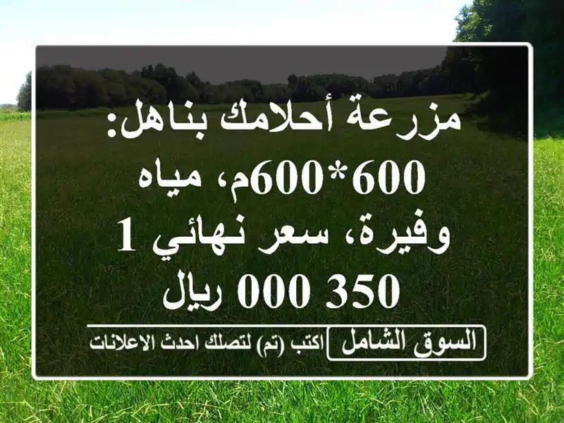 مزرعة أحلامك بناهل: 600*600م، مياه وفيرة، سعر نهائي...