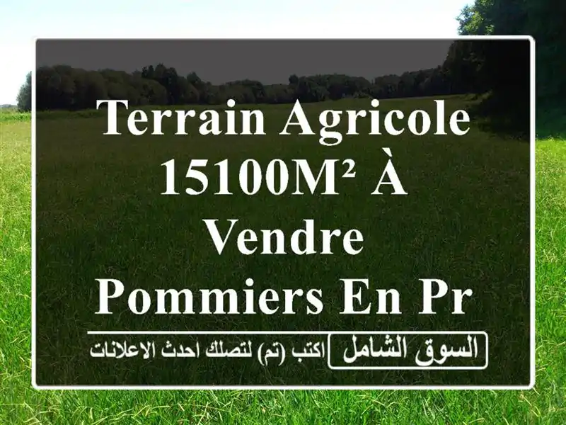 Terrain Agricole 15100m² à Vendre - Pommiers en Production - Aïn Defla, Sidi Lakhdar