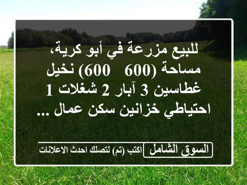 للبيع مزرعة في أبو كرية، مساحة (600 / 600) نخيل غطاسين...