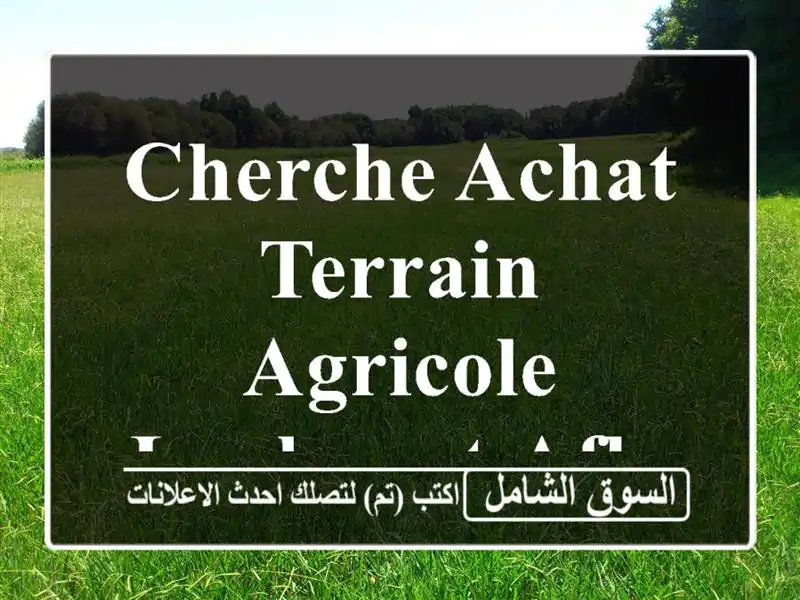 Cherche achat Terrain Agricole Laghouat Aflou
