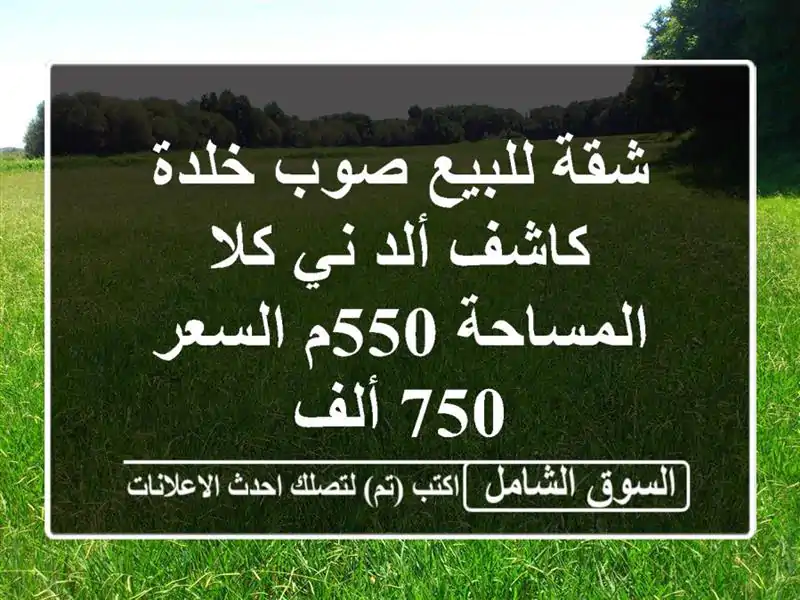 شقة للبيع صوب خلدة كاشف ألد ني كلا المساحة 550م السعر...