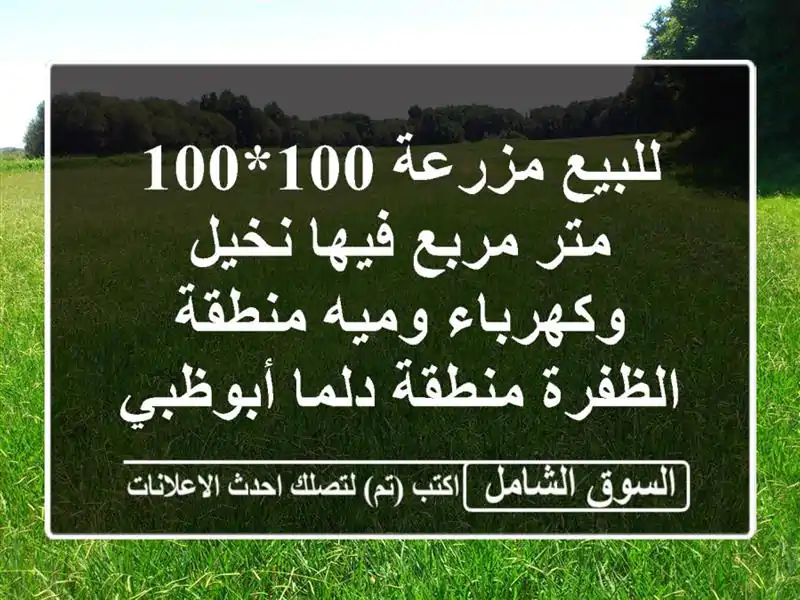 للبيع مزرعة 100*100 متر مربع فيها نخيل وكهرباء وميه منطقة الظفرة منطقة دلما أبوظبي