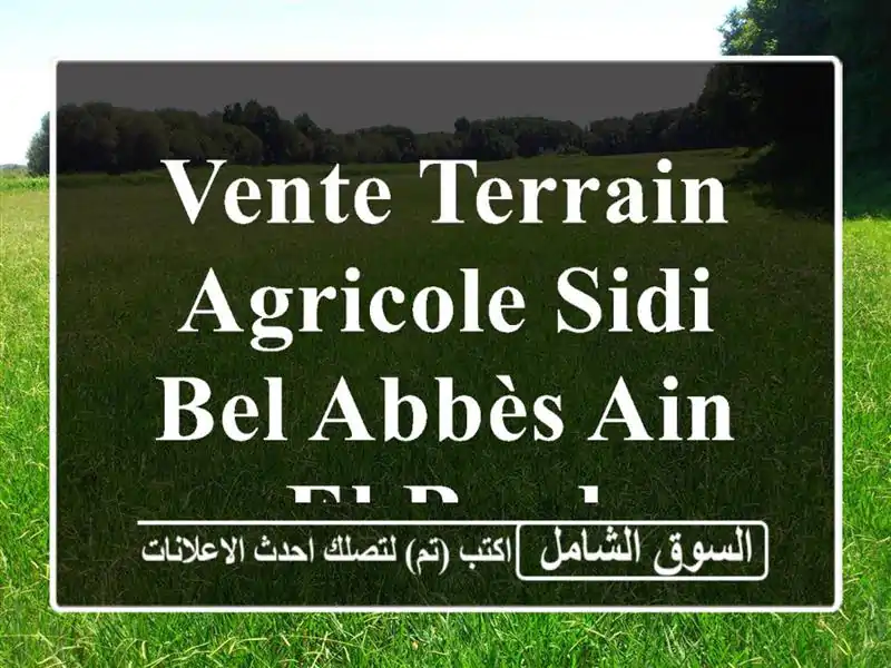 Vente Terrain Agricole Sidi Bel Abbès Ain el berd