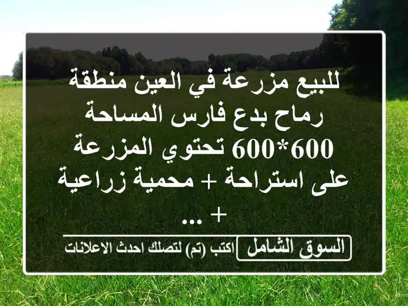 للبيع مزرعة في العين منطقة رماح بدع فارس المساحة 600*600 تحتوي المزرعة على استراحة + محمية زراعية + ...